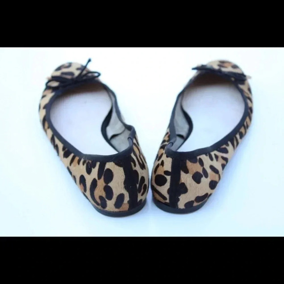 Cosmo Paris flats - Picture 6 of 8